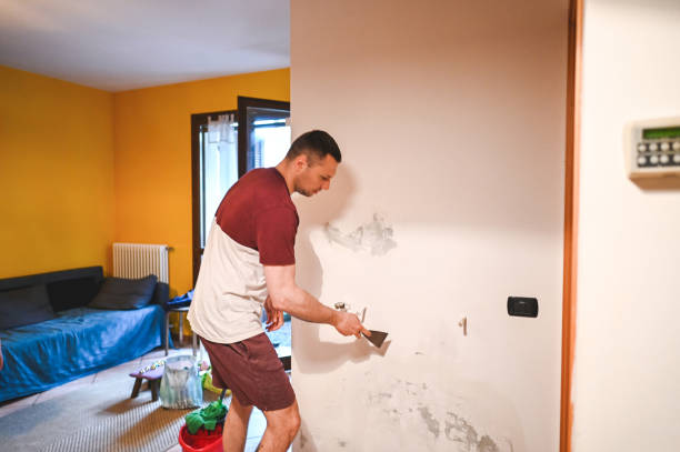 Best Local Mold Removal Service  in Tinley Park, IL